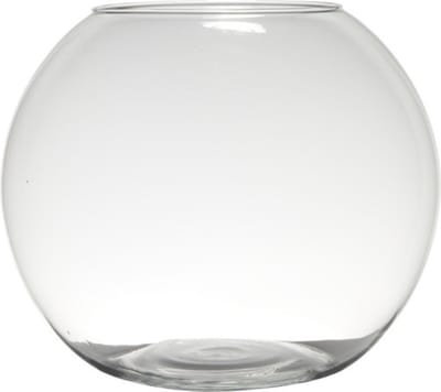 Hakbijl Glass Bloemenvaas - terrarium bolvormig - D34 x H28 cm - glas - kom - vaas