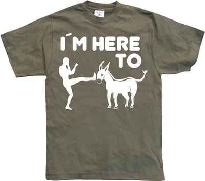 Hybris I'm Here To Kick Ass T-shirt SH-1-15157-LFH2-5
