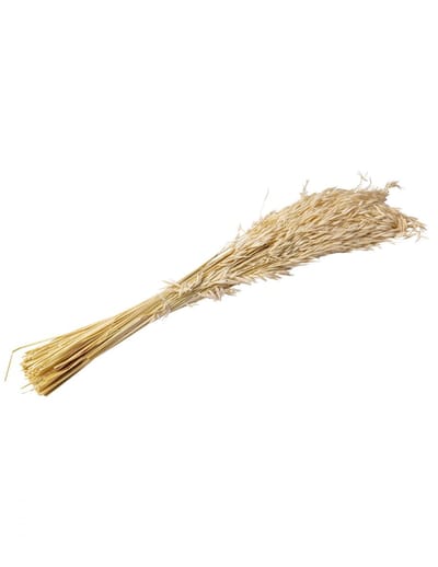 ARTYFETES - Natuurlijke gedroogde haveraren 100 g 73 cm landelijke sfeer