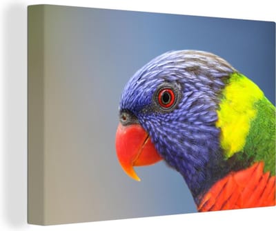 Canvas Schilderij Regenbooglori - 90x60 cm - Wanddecoratie