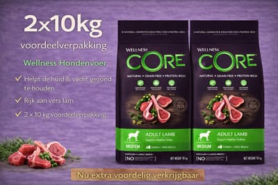 Wellness CORE dry Hond adult lam 20KG - Hondenvoer - 2 x 10kg