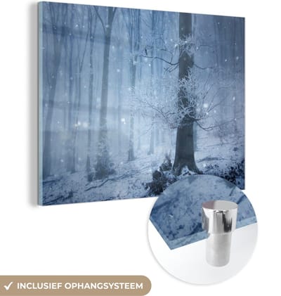 MuchoWow® Glasschilderij 40x30 cm - Schilderij acrylglas - Bos - Winter - Sneeuw - Foto op glas - Schilderijen
