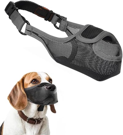 Muilkorf voor Honden – Muilkorf voor Kleine Honden – Nylon Hondenmuilkorf – Ademende Muilkorf voor Honden – Verstelbaar – Muilkorf voor Kleine, Middelgrote en Grote Honden – (S)