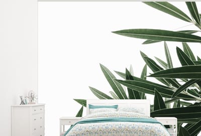 Behang - Fotobehang Natuur - Planten - Bladeren - Breedte 375 cm x hoogte 300 cm