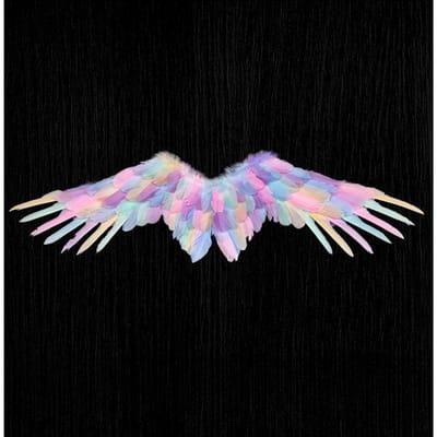 Ailes d'ange Plumes blanches Ailes en forme d'hirondelle Performance adulte et enfant Accessoires d'Halloween Enfant d'honneur Fleur Enfant Déguisement 73x19cm gray