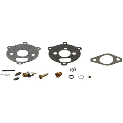 Briggs & stratton carburateur reparaties