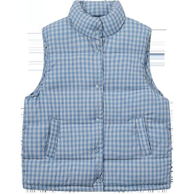 Blauw Ruitjes Vest Katoenen Jas voor Dames Winter Bovenkleding Student Bijgewerkt Veelzijdig Mouwloos Vest Katoenen Jas M gray