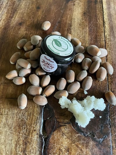 Gezicht scrub met Fijn Keltisch Zeezout en Hazelnoot 100 Gram Puur Natuur!! van OmAnne