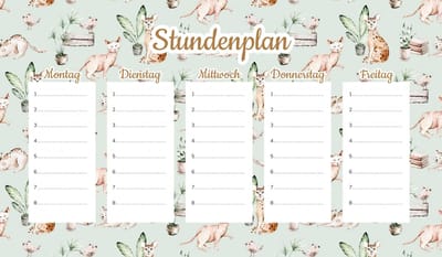 Wallvy Serie - Magnetische Lesplan - 30x17,5CM - Aanpasbaar - Herbruikbaar