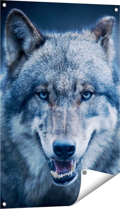 Gards Tuinposter Wolvenkop met Blauwe Ogen - Wolf - 60x90 cm - Tuindoek - Tuindecoratie - Wanddecoratie buiten - Tuinschilderij