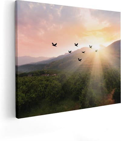 Artaza Canvas Schilderij Vogels - 100x80 cm - Groot - Wanddecoratie Zonsondergang - Muurdecoratie Bergen - Schilderijen Natuur