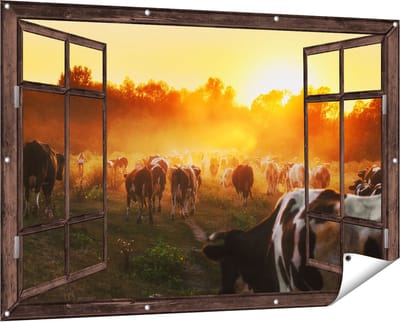 Gards Tuinposter Doorkijk Kudde Koeien in Weiland bij Zonsondergang - 150x100 cm - Tuindoek - Tuindecoratie - Wanddecoratie buiten - Tuinschilderij
