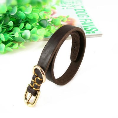 Collier Doux en Cuir Véritable pour Chiot Collier pour Chien en Cuir Véritable Pour Petits Chiens et Chats Collier Réglable pour Animal de Compagnie Pour Chien Terrier Yorkie (brown,L) marron
