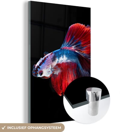 MuchoWow® Glasschilderij 120x180 cm - Schilderij acrylglas - Vis - Staart - Zwart - Foto op glas - Schilderijen