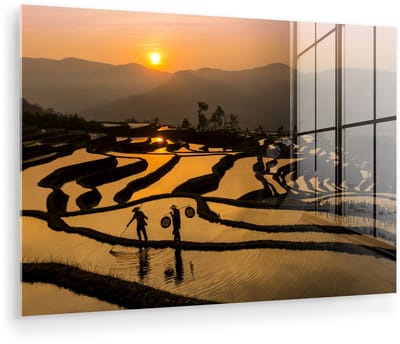 ® Glasschilderij 180x120 cm - Schilderij acrylglas - Prachtig beeld van een rijstveld bij zonsondergang - Foto op glas - Muurdecoratie woonkamer - Wanddecoratie slaapkamer - Schilderijen
