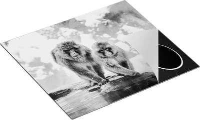 Chefcare Inductie Beschermer Twee Aapjes in de Sneeuw op Rotsen - Zwart Wit - 60x50 cm - Afdekplaat Inductie - Kookplaat Beschermer - Inductie Mat