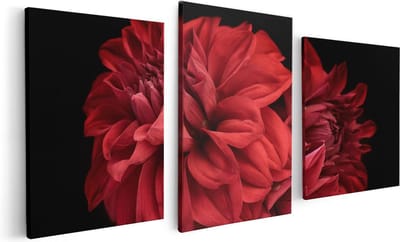 Artaza Canvas Schilderij Drieluik Rode Dahlia Bloemen - 120x60 - Foto Op Canvas - Canvas Print