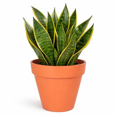 Mega Collections Plantenpot - kunststof - oranje - binnen/buiten - D29xH28 cm - bloempot