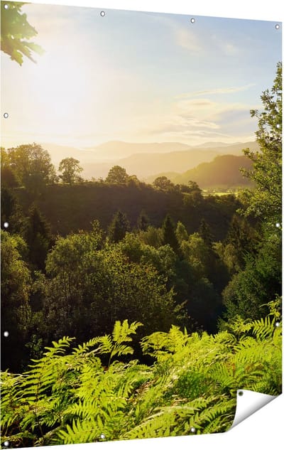 Gards Tuinposter Zonsondergang vanuit een Bos - 120x160 cm - Tuindoek - Tuindecoratie - Wanddecoratie buiten - Tuinschilderij