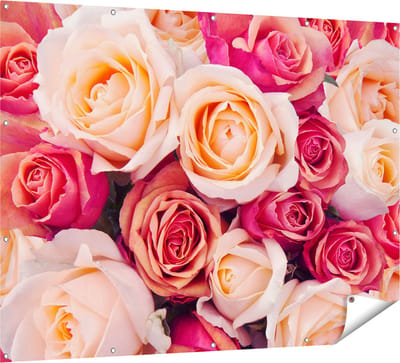 Gards Tuinposter Roze Rozen Achtergrond - Bloemen - 160x120 cm - Tuindoek - Tuindecoratie - Wanddecoratie buiten - Tuinschilderij