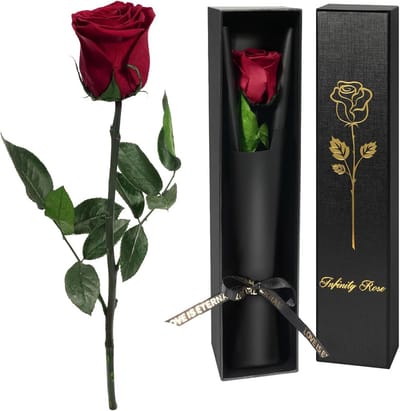 Dailygoods- Kerstroos geschenken voor vrouwen - Geconserveerde Roos - Eeuwige Bloem - Verjaardagscadeau - Moederdagcadeau - Superieure Kwaliteit