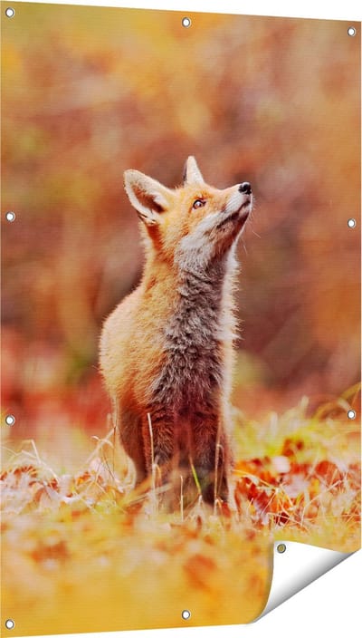Gards Tuinposter Vos in het Bos tussen de Bladeren - 80x120 cm - Tuindoek - Tuindecoratie - Wanddecoratie buiten - Tuinschilderij