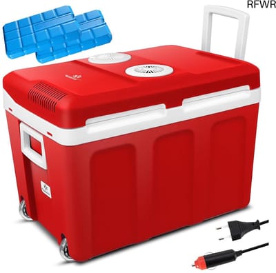 Koelbox - Elektrische Koelbox 12 en 230 Volt - Koeltas Auto - Grijs - Handig