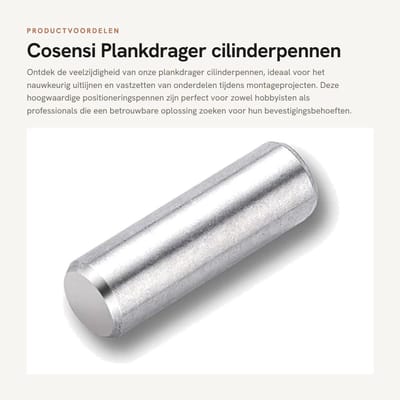 Dailygoods- Plankdrager - Cilinderpen - Roestvrij Staal - Positioneringspen - Mechanisch Onderdeel - Duurzaam en Corrosiebestendig