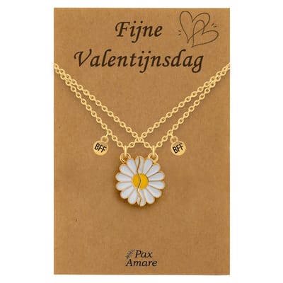 Koppel Ketting voor 2 'Fijne Valentijnsdag' - Magnetische Bloem - Vriendschapsketting op Cadeau Kaartje - 45cm + 5cm verstelbaar - Goudkleurig - BFF Hanger - Pax Amare