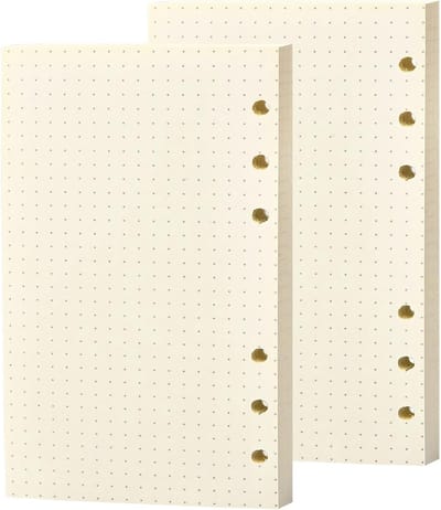 2 Packs A5 Ringband Vullingen met 160 Vel, 6 Gaten, Notitiepapier voor Agenda, Dagboek en Schetsen, 100gsm Kwaliteit