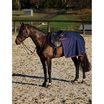 Paardendekens Weatherbeeta Essential