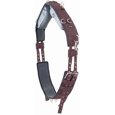 Paard surfaix T de T