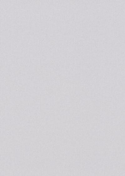 Erismann Vinylbehang 10475-31 - Coulours & Textures - Zilver - 53cm x 10.05m
