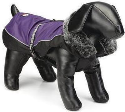 Beeztees Nano hondenjasje aspen - Paars 55 cm