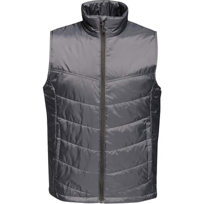 Regatta Heren Fase II Geïsoleerde Bodywarmer (Afdichting Grijs)
