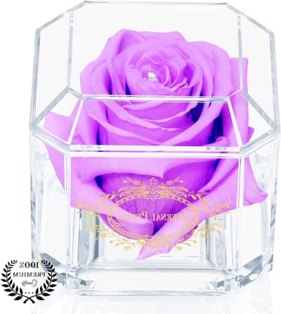 Eeuwige Roos - Behandelde Bloem - Cadeau Geven - Echte Roos - 8 cm x 8 cm x 8 cm