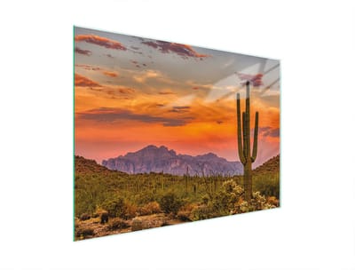 TMK ArtDeko - Snijplank van glas - 30x22 cm - Hittebestendig - Antislip siliconen