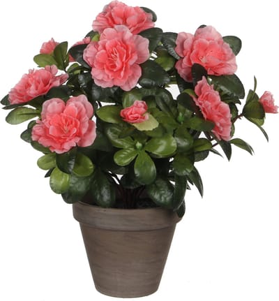 Mica Decorations Kunstplant - Azalea - groen/perzik kleurig - 27 cm - Met mooie bloemen