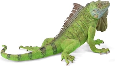 COLLECTA Figurine - Groene Leguaan - (Xl) - Wilde Dieren - Handgeschilderd - Miniatuur
