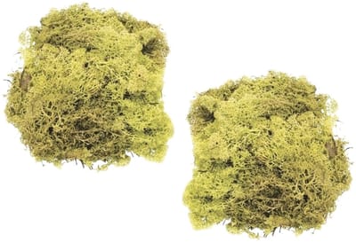 Decoratie nep mos - 2x - lichtgroen - 50 gram - Hobby/knutselen - herfst/kerst thema decoreren - nature