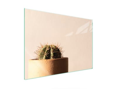 TMK ArtDeko - Beschermglasplaat voor Fornuis - Kaktus - 70x52 cm - Veelkleurig