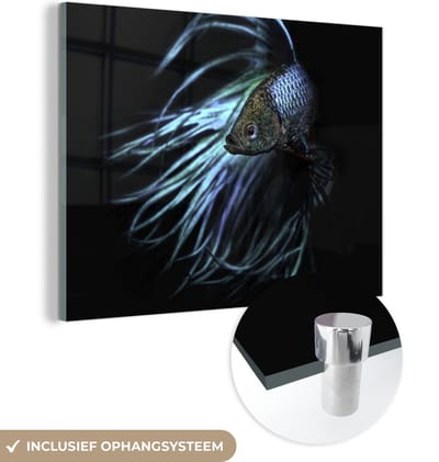 MuchoWow® Glasschilderij 160x120 cm - Schilderij acrylglas - Vis - Staart - Zwart - Foto op glas - Schilderijen
