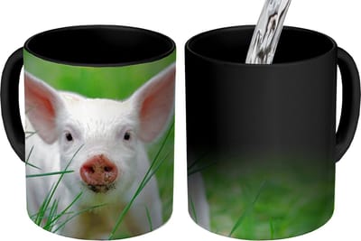 Magische Mok - Foto op Warmte Mokken - Koffiemok - Varken - Dieren - Big - Magic Mok - Beker - 350 ML - Theemok