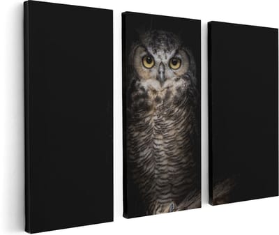 Artaza Canvas Schilderij Drieluik Uil Op Een Tak In De Nacht - 120x80 - Foto Op Canvas - Canvas Print
