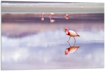 Acrylglas - Flamingo's in het Paarse Water - 90x60cm Foto op Acrylglas (Met Ophangsysteem)