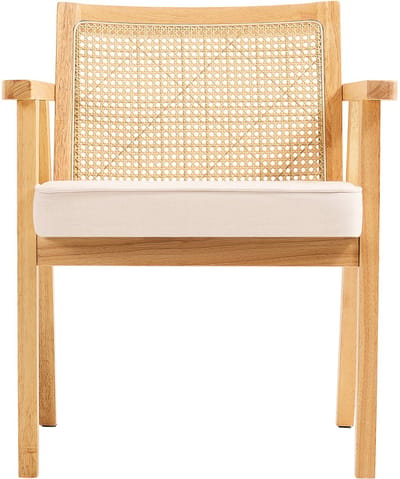Rotan Stoel Met Armleuning, Moderne Tuinstoel voor Tuin, Balkon Of Terras