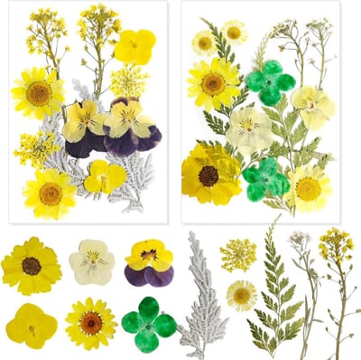 24 Stuks Geperste Gedroogde Bloemen Set voor Sieraden, Kaarsen Maken en Knutselen