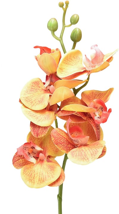 Kunstorchidee Phalaenopsis gevlamd rood geel 78cm