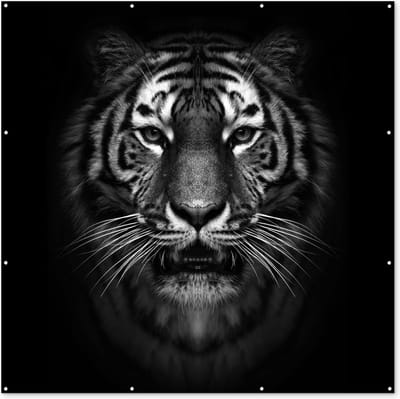 Tuin poster Tijger - Dieren - Zwart - Wit - Portret - Wild - 200x200 cm - Tuindoek - Buitenposter
