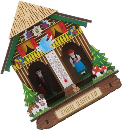 Thermometer Hygrometer - Weerstation Barometer - Binnen Meten - Stijlvol Ontwerp - 18 x 16 x 9 cm - Willekeurige Kleur